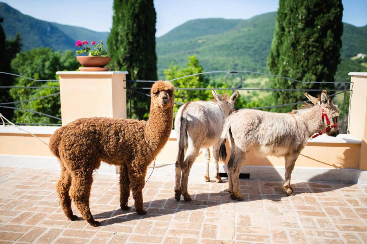 Borgo Incantato Spoleto Pompagnano المظهر الخارجي الصورة