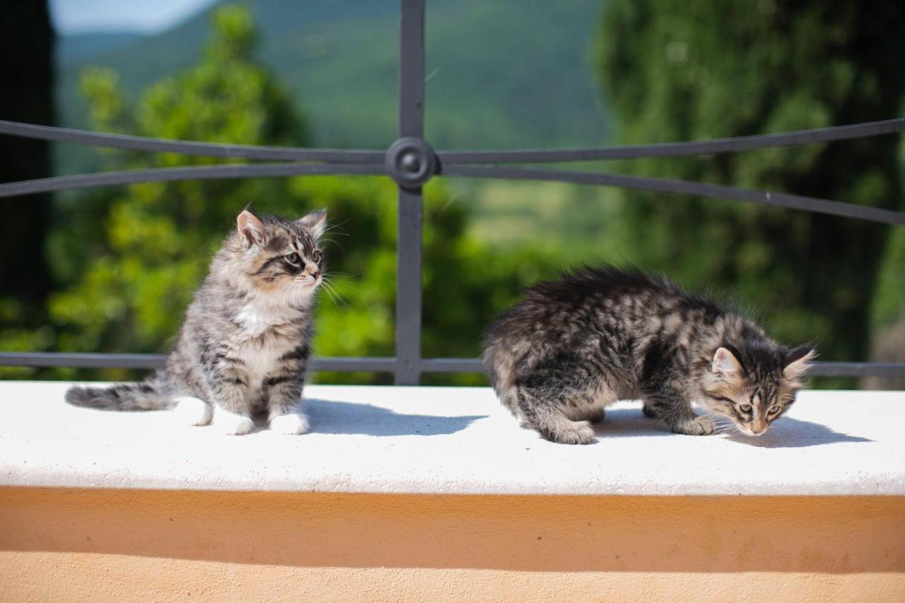 Borgo Incantato Spoleto Pompagnano المظهر الخارجي الصورة