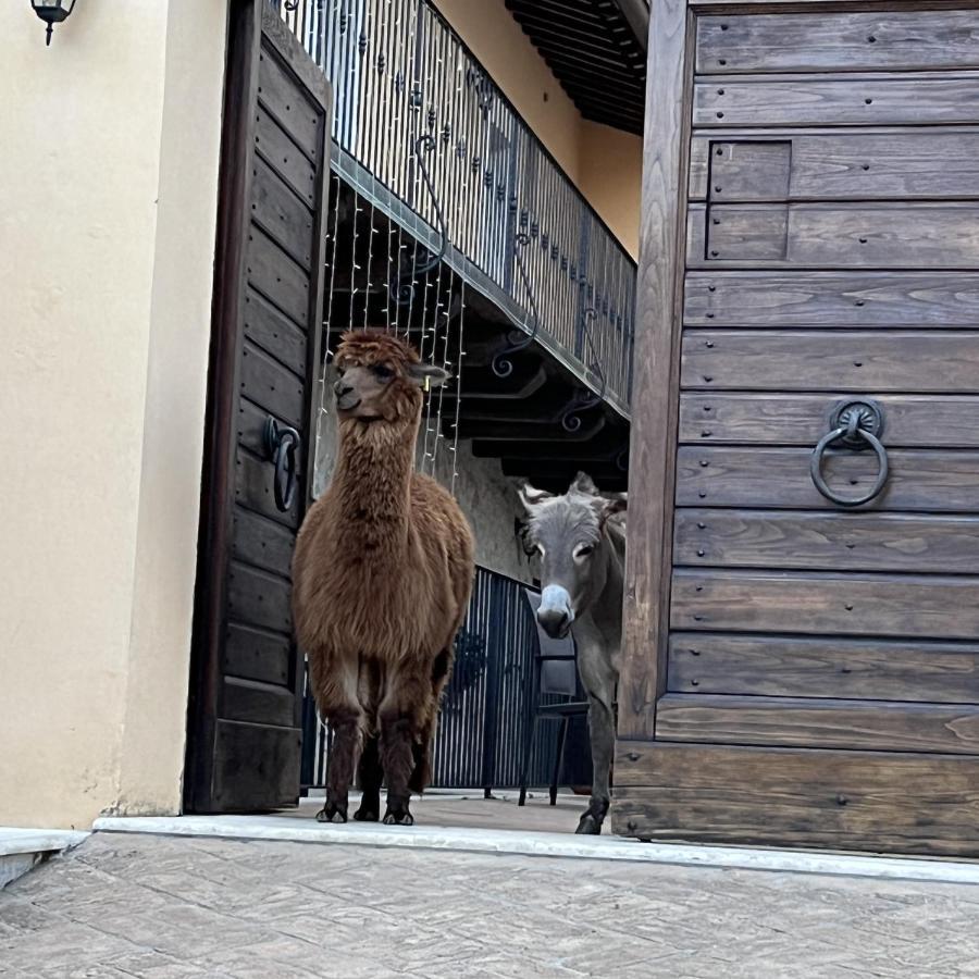 Borgo Incantato Spoleto Pompagnano المظهر الخارجي الصورة